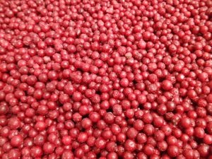 TK-Rote Johannisbeeren - 10870