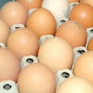 Bodenh.bay. Eier Gr.L (2) br - 11839