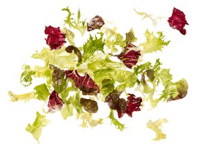 Ku Salatmischung Bravo - 13877