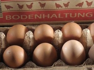 Eier Bodenhalt.Gr.L 10er (2) - 13994