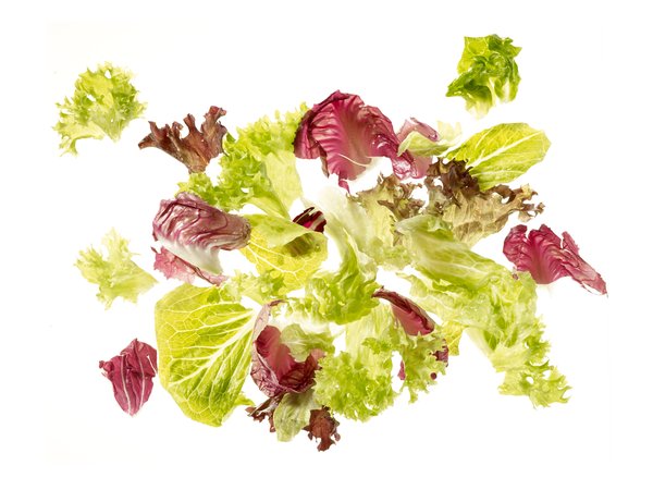 Ku Salatmischung Grandios - 15450