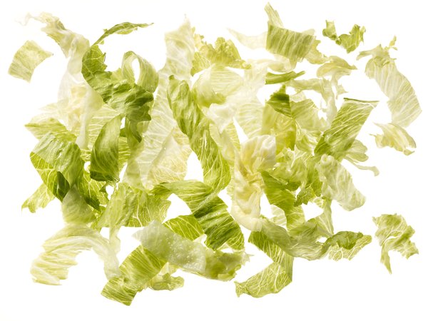 Ku Eisbergsalat geschn. 20mm - 15509