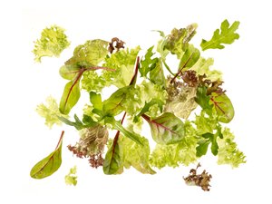 Ku Salatmischung Babyleaf - 15541