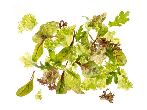 Ku Salatmischung Babyleaf - 15541