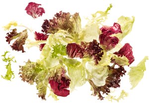 Ku Salatmischung Kira - 15542