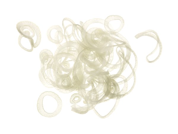 Ku Zwiebelringe weiß 2,5mm - 18078