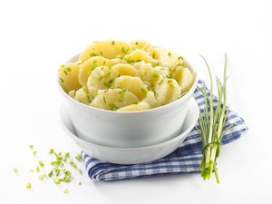 Ku Grasbrunn.Kartoffelsa.1521 - 18465