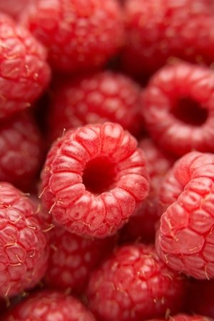 Tk-Bio-Himbeeren - 430530