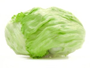 Eissalat ganze Köpfe - 50375