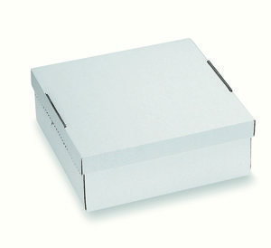 Tortenkart.32x32x12 weiss 2tlg - 600600