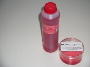 Fruchtfliegenfalle 5St.incl. - 895681