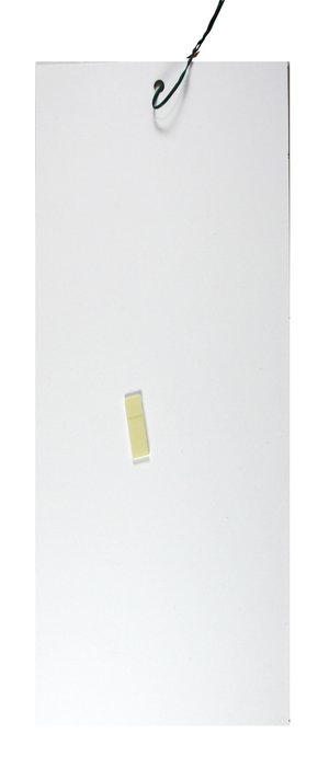 Lebensmit.Mottenfal.Pherolock - 898931