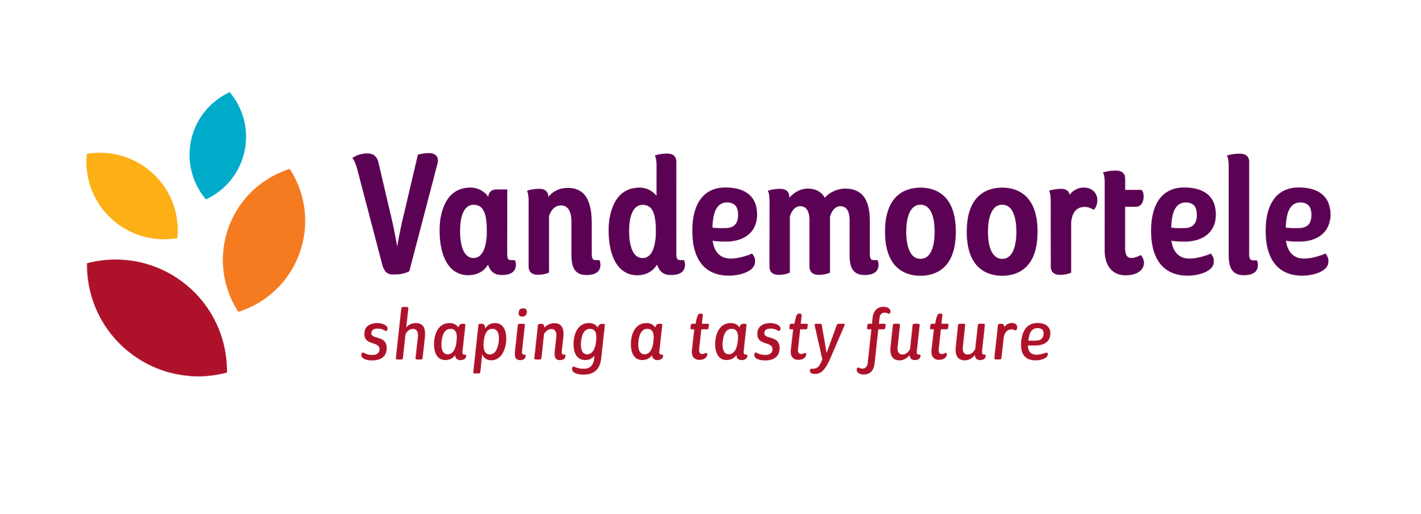 Vandemoortele Logo